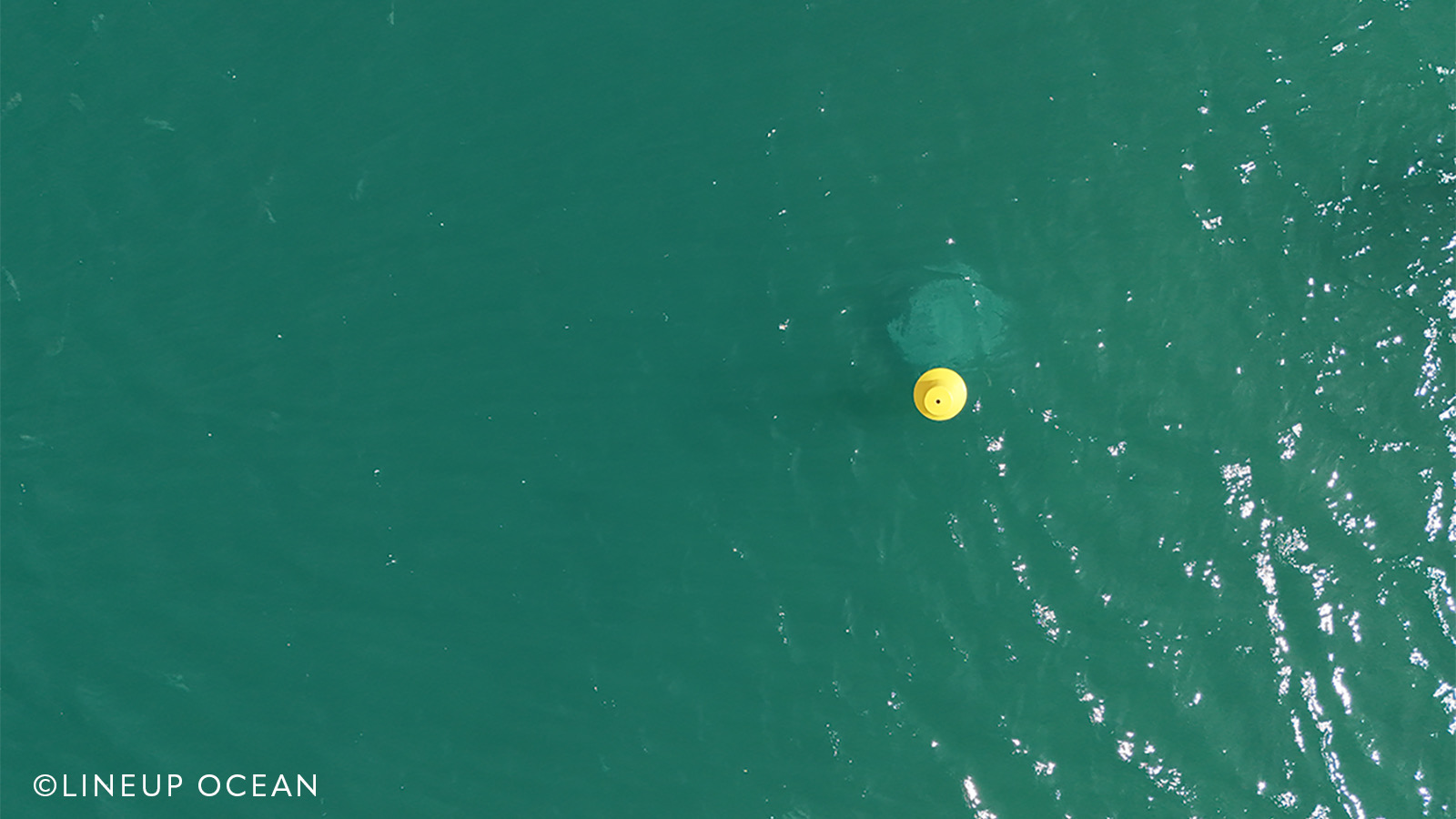 <img src="htts://3dconcrete.fr/actualités/https://3dconcrete.fr/modules-marins-en-impression-3d-beton/modulesmarins.jpg" alt="Modules marins, impression 3D béton bas carbone, biodiversité marine, 3D Concrete, Perpignan, Pyrénées-Orientales, Occitanie">