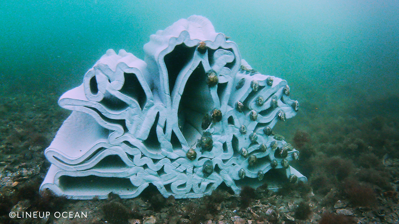 <img src="htts://3dconcrete.fr/actualités/https://3dconcrete.fr/modules-marins-en-impression-3d-beton/modulesmarins.jpg" alt="Modules marins, impression 3D béton bas carbone, biodiversité marine, 3D Concrete, Perpignan, Pyrénées-Orientales, Occitanie">