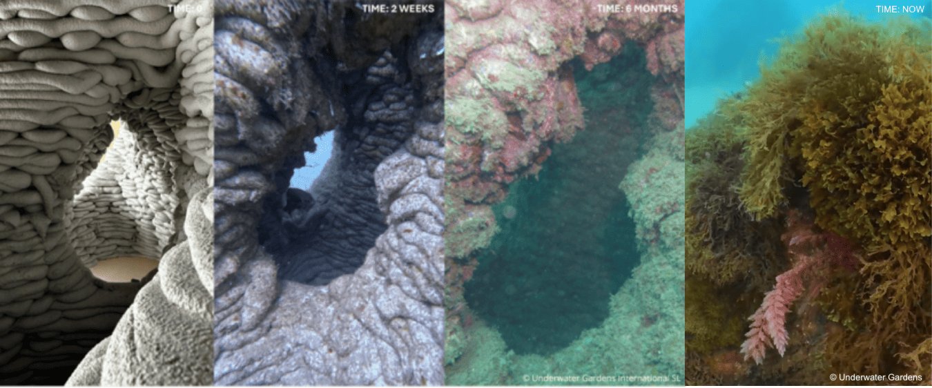 Módulos marinos impresos en 3D de hormigón